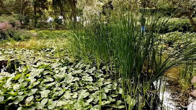 Английский сад в Ассинибоин парке | Скульптуры Лео Мола | Моисей | 8 | Городские парки Виннипега смотреть онлайн