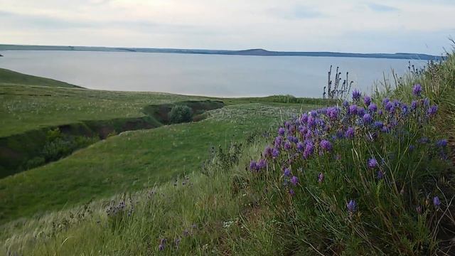 ӨЙДӘ ЯТКАНЧЫ- Аслыкуль смотреть онлайн