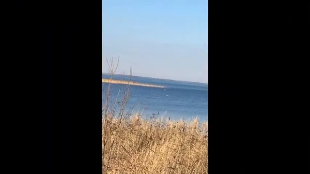 Моя Малая Родина Крутинка смотреть онлайн
