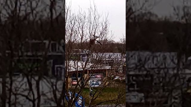 Две, Сороки. смотреть онлайн