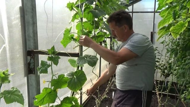 Ремонтный Гений