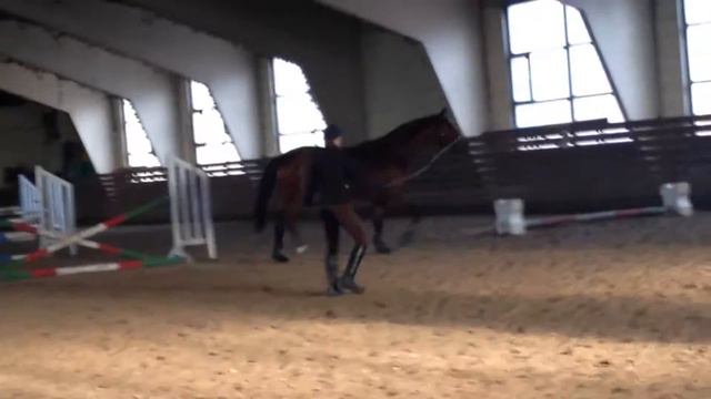 Остин Пауэрс - тракен. (Боливар) смотреть онлайн