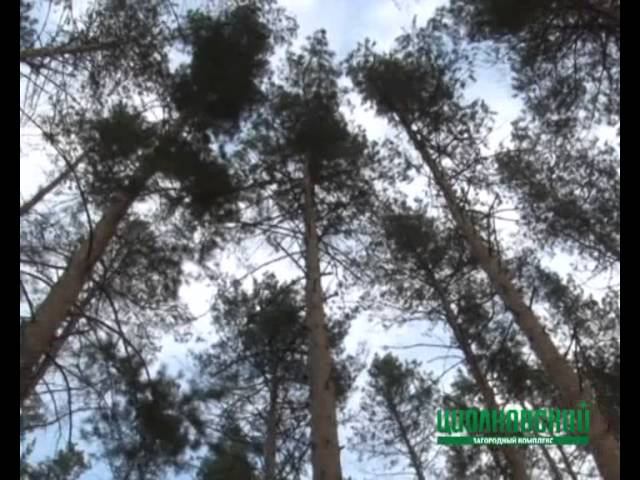 Загородный комплекс "Циолковский" приглашает отдохнуть всей семьей смотреть онлайн