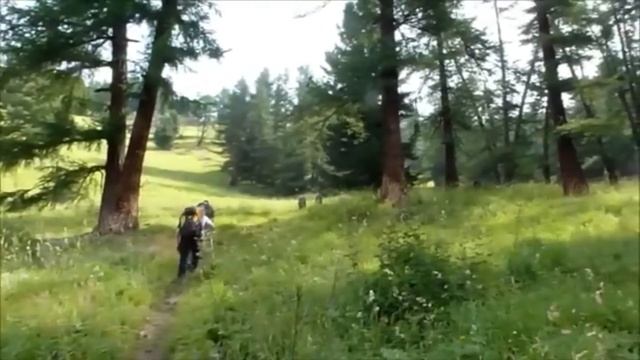 Аптечка туриста. Для сердца. Кардио спрей смотреть онлайн