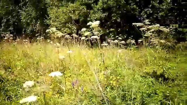 Инженерно геологические изыскания на объекте Тверская область, Зубцовский район смотреть онлайн