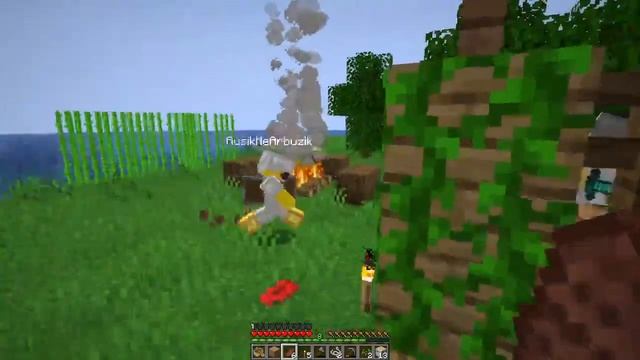 ПРИКОЛЬНЫЕ ПРИКЛЮЧЕНИЯ В МАЙНКРАФТЕ