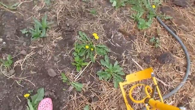 Облегчение труда в деревне. Корнеудалитель - ТОРНАДО . смотреть онлайн