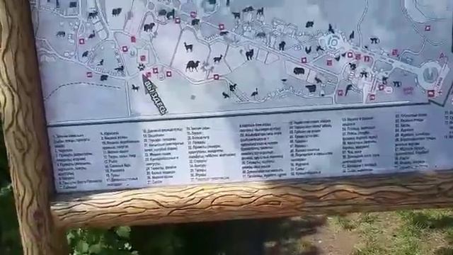 Новосибирский зоопарк смотреть онлайн
