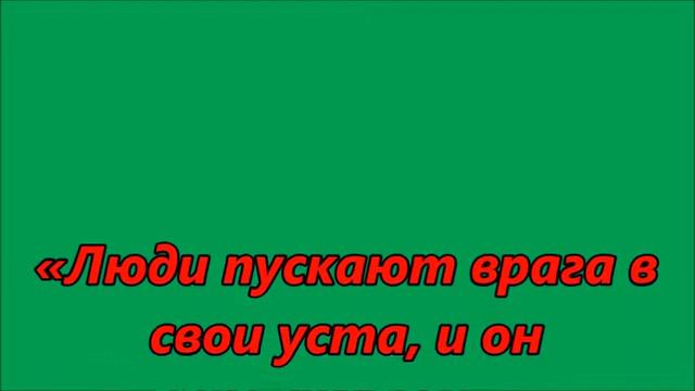Бросить пить и курить просто. смотреть онлайн