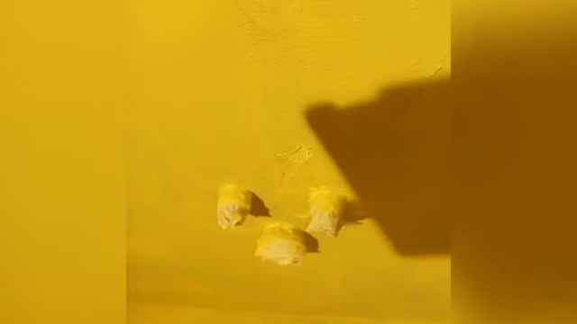 Гидроизоляция санузла