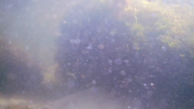 Baltic Sea Diving #diving #lithuania #latvia #baltic #sea #action смотреть онлайн