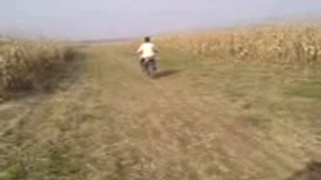 Ride a Honda nx650 Dominator by Ema смотреть онлайн