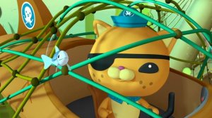 01.40 - Октонавты и стая сардин