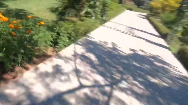 Сочи Лазаревское прокат самокатов urent быстро просто и не дорого смотреть онлайн