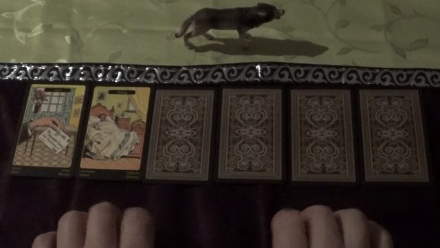 Oracle Draw for 14.-27.12.2020 (Gypsy Oracle Cards, ASMR-style) смотреть онлайн