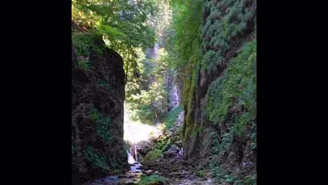 😎 george zamfir l just called you say.🎧 смотреть онлайн