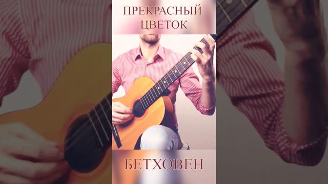 красивая музыка на гитаре #Бетховен #советскаягитара #классическаягитара смотреть онлайн