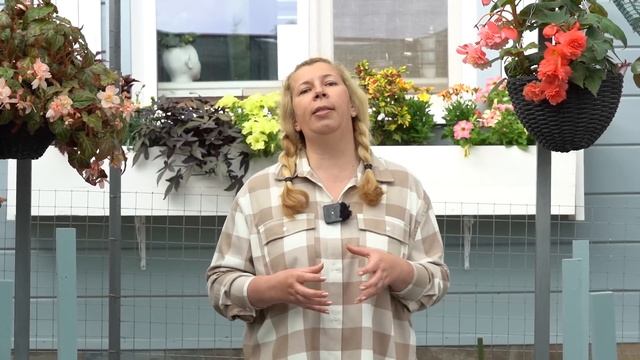Причины возникновения вершинной гнили и способы борьбы смотреть онлайн