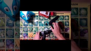 Что внутри пневматического пистолета PM-X?