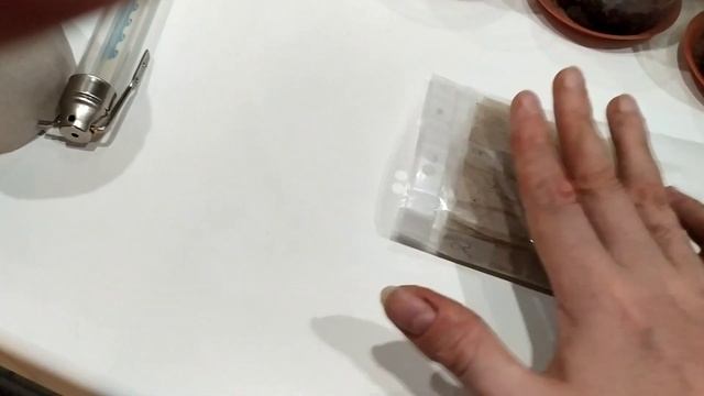 Проращивания семян томатов. Часть 2. смотреть онлайн
