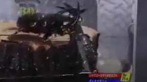 11  Жук геркулес против скорпиона