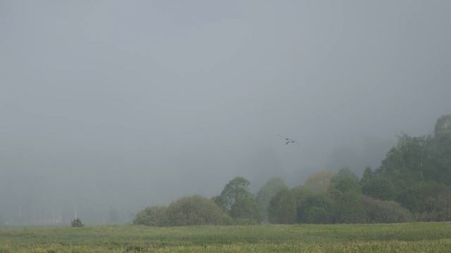 Нугуш Аэросьемка сплав 2016 смотреть онлайн