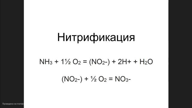 Вся правда о волшебных бочках, или как на самом деле работает канализация!