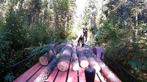 ЗАГОТОВКА ДРОВ В ЛЕСУ//Как вывезти дрова из леса на мотоблоке?//деревенские будни