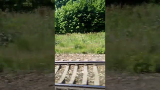 Из Домодедово в Москву неделю не будет видео. Майкоп, Домодедово, Москва смотреть онлайн