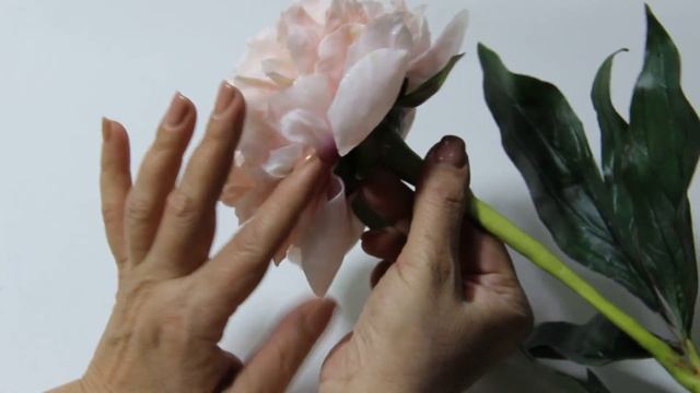 Пион моей мечты ,,Шифон Парфе,, Мастер Чулпан Хисмеева смотреть онлайн