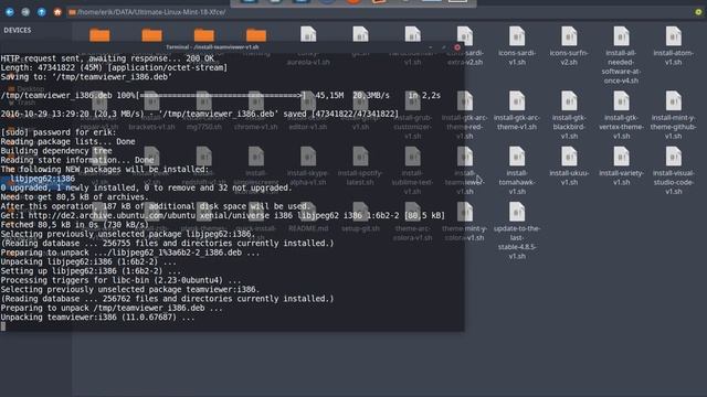 linux mint 18 xfce 31 how to install teamviewer to help someone смотреть онлайн