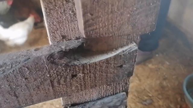 ?БУДНИ НАШИЛИ ПЕЛЁНКИ смотреть онлайн