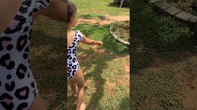 Алиса пошла искать бурундуков смотреть онлайн