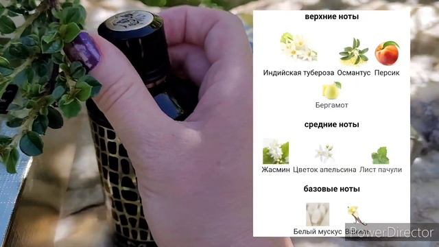 моё парфюмерное разочарование. Mancera Wild PYTHON смотреть онлайн