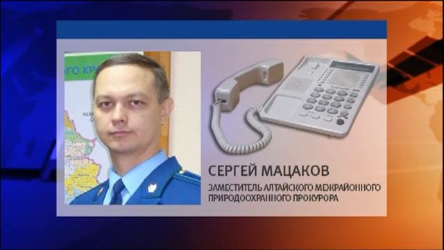 Сергей Мацаков, заместитель алтайского межрайонного природоохранного прокурора смотреть онлайн