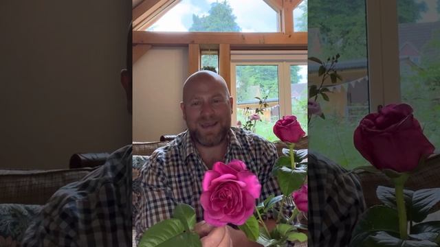 Personal review of “James L Austin” from @david_austin_roses #gardenerben смотреть онлайн