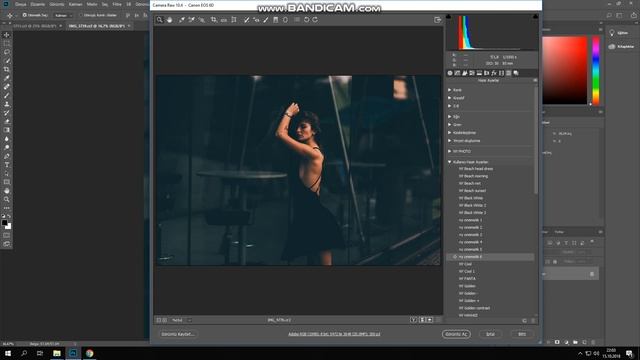 Photoshop Camera Raw Cinematik Preset (Ücretsiz İndir) Full Paket İçin Mesaj atınız смотреть онлайн