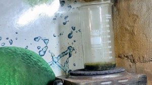 Сколько золота в мужских часах AU 10 / Recovery Gold From Man's Watch 10 microns