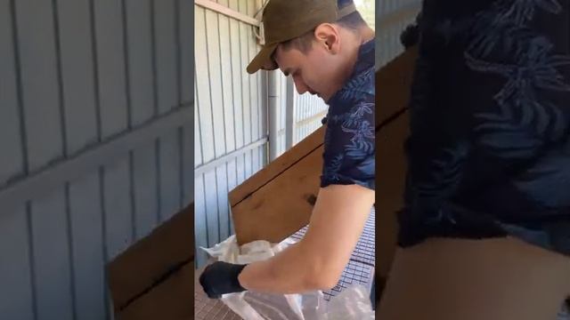 Дверца на печь барбекю «Принц» РАСПАКОВКА #гриль #барбекю #барбекюкомплекс смотреть онлайн