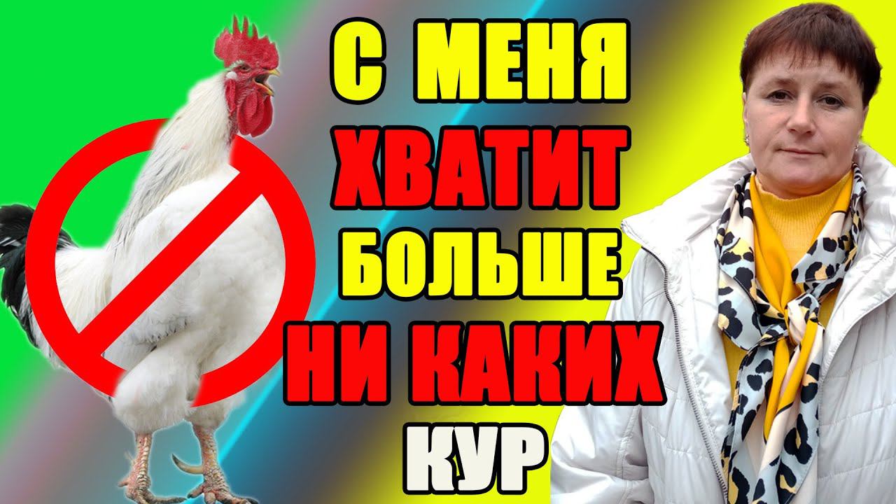 С меня хватит, больше никаких кур. смотреть онлайн