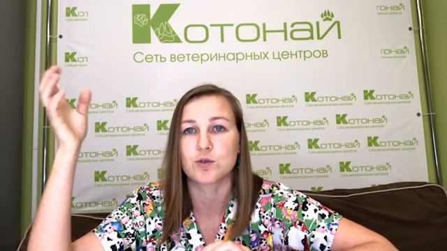 Заворот век у собак и кошек. Что делать? смотреть онлайн