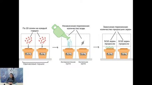 ОГЭ Биология смотреть онлайн