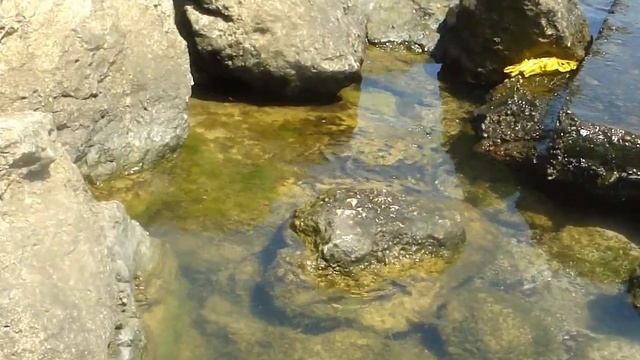 sony H20 test смотреть онлайн