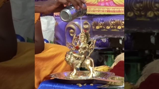 Lalitha tripura sundari Devi Abhishekam dhuseera смотреть онлайн
