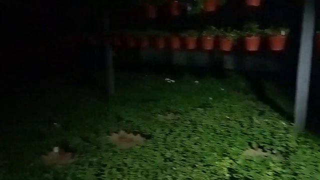 Середина апреля: В АЛТАЙСКОМ КРАЕ снова февраль? ❄ смотреть онлайн