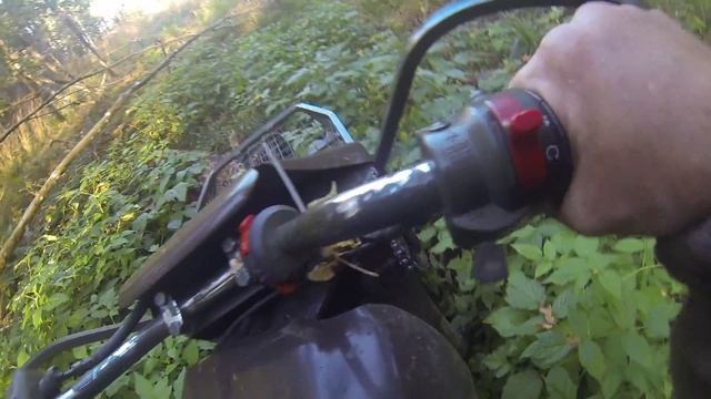 Лесом, вырубами. смотреть онлайн