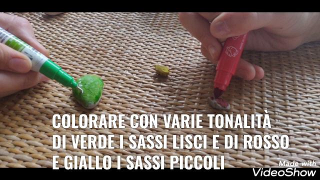 Cactus con i sassi смотреть онлайн