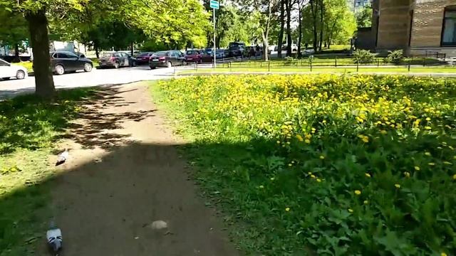 Влог/красивый закат/дразните меня ?/за краской в Леруа Мерлен смотреть онлайн