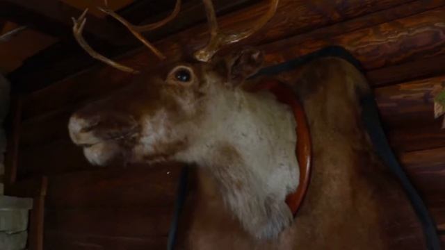 Nerest promoby by Vyacheslav Orlov смотреть онлайн