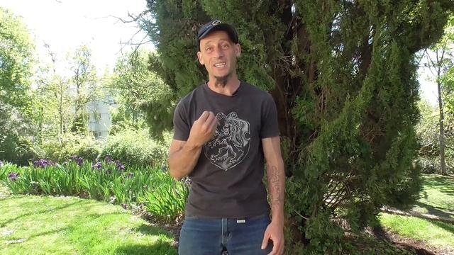 Constitución Septenaria? : Cuerpo Físico denso y cuerpo Físico Etérico смотреть онлайн